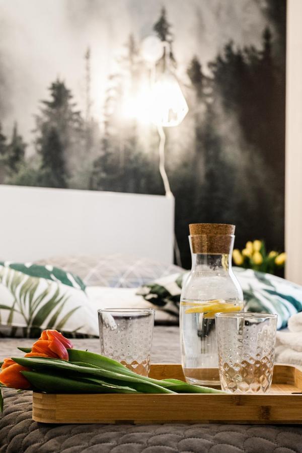 Apartament Rezydencja Vintage No1 Ольштин Екстер'єр фото